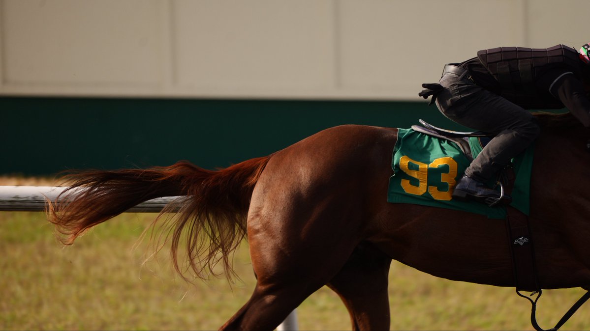 TBXchange tweet media