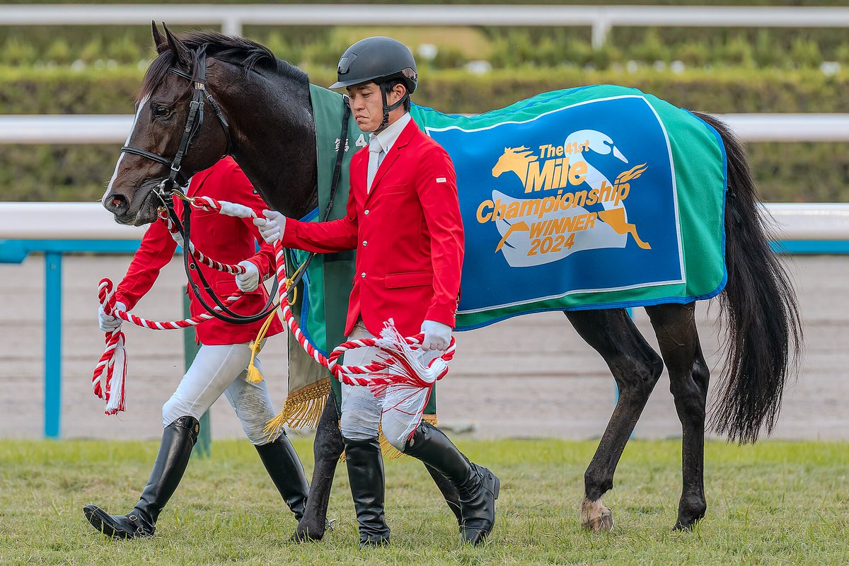 umapairs's tweet photo. Today’s seventh pair is Voyage Bubble &amp; Soul Rush! (Anon didn’t specify if it was platonic or romantic, so you can decide)

Extra (from 🌙): Both of these are real horses.

#VoyageBubble #SoulRush https://t.co/OWyrhWAauT