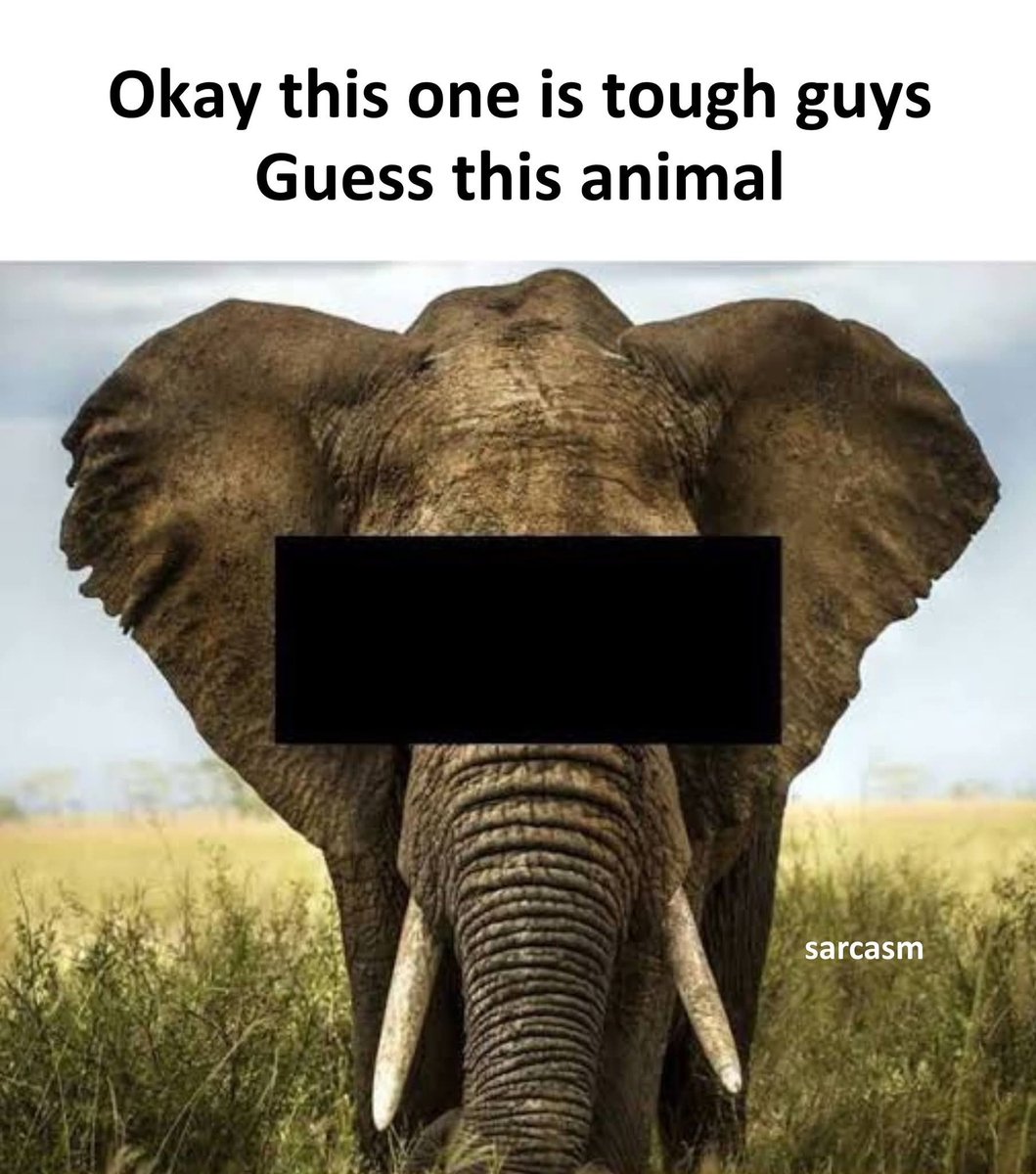 HUMPHREY TIPS tweet media