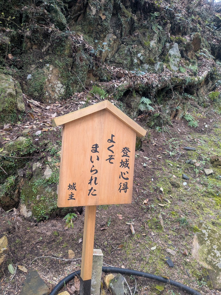 ぴんきー（実はぴょんきー）🐺💛 tweet media