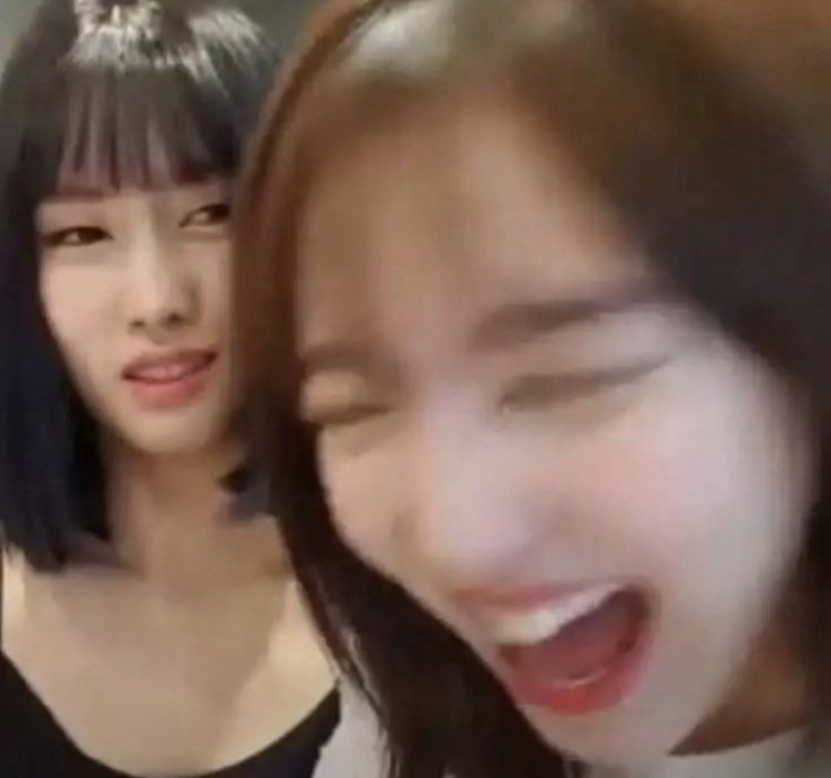 ˚˖𓍢ִ🍓. ݁𐙚 tweet media