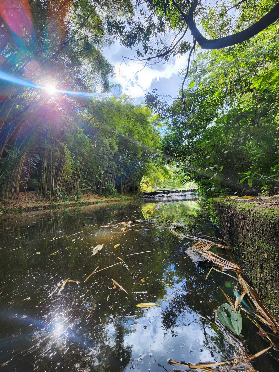 👉 “Cultura motera con conciencia.” tweet media