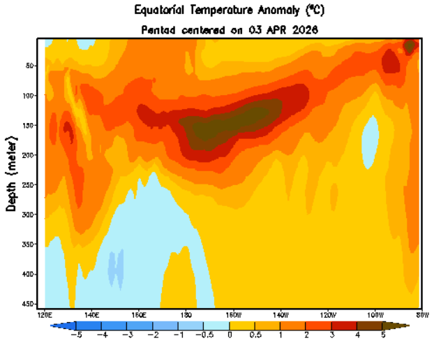 🌧️⛈️Profesor Eduardo ( The Weatherman) 🌨️🌪️ tweet media