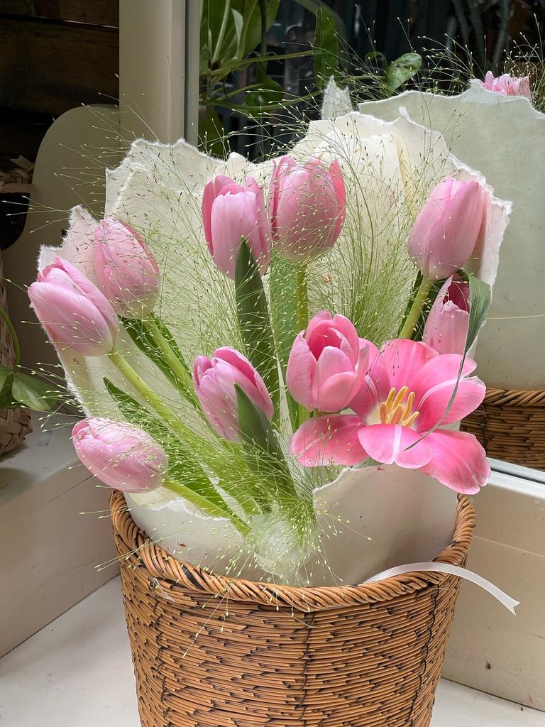 Tulips Library tweet media