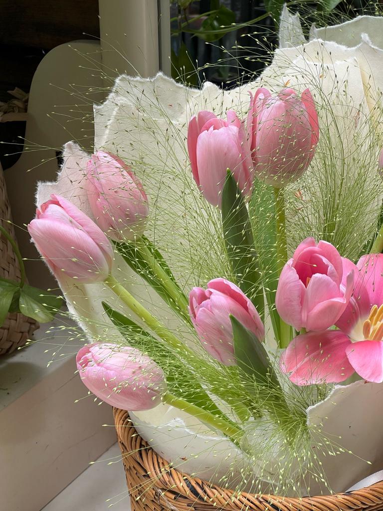 Tulips Library tweet media