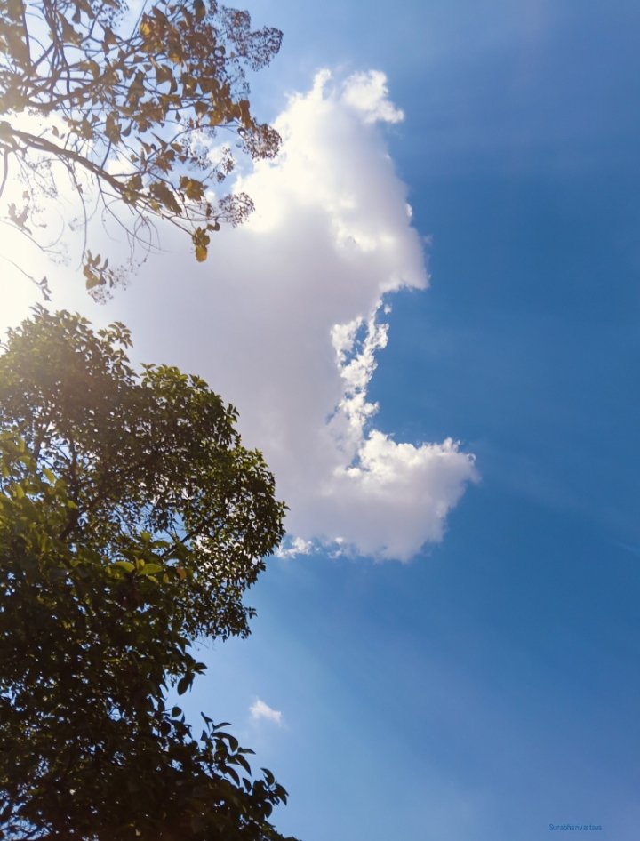 i_surabhiS's tweet image. "Finding art in the everyday sky." 📸
#BlueSky
 #PeacefulVibes