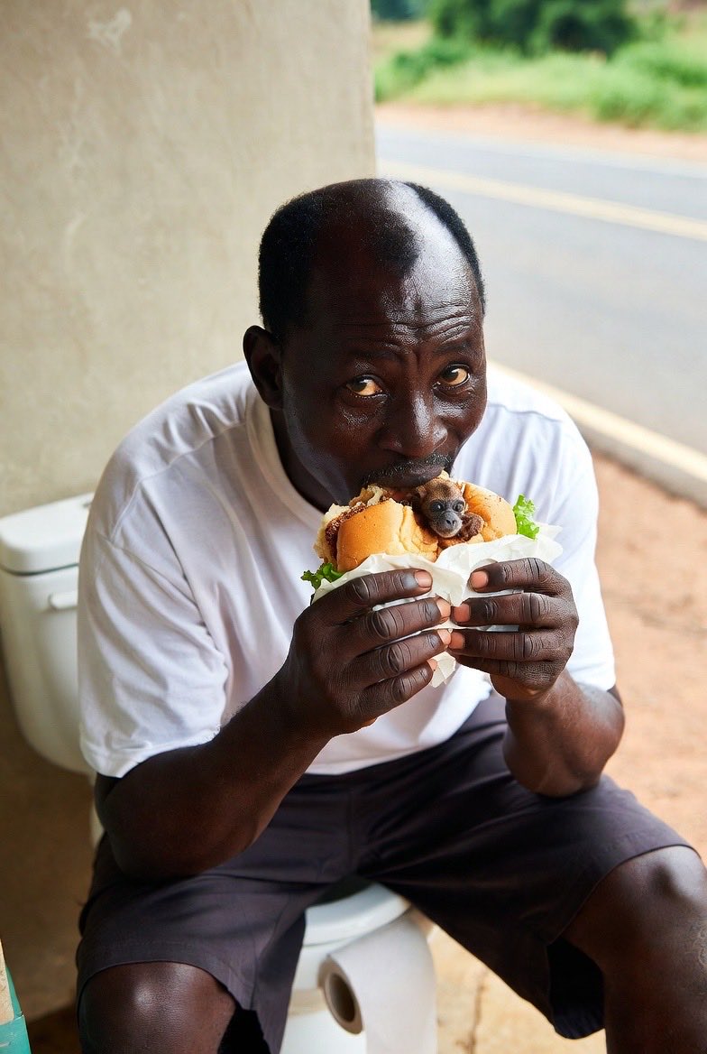 Gerard Wilson tweet media