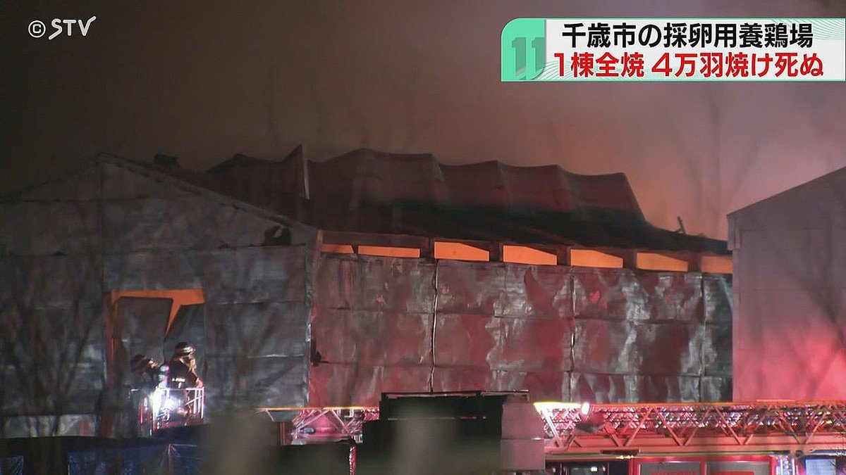 ライブドアニュース tweet media