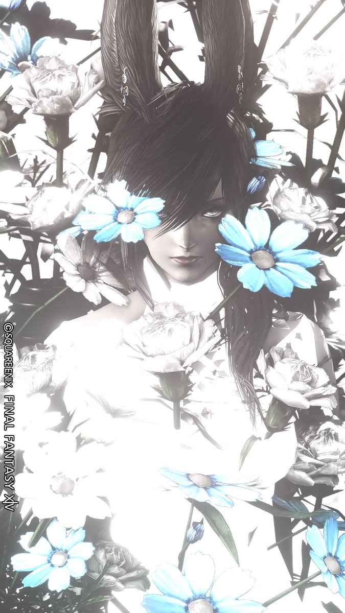 ๐๐๐๐โโ tweet media