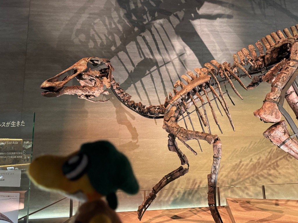 【公式】むかわ町穂別博物館🆕プロジェクト tweet media