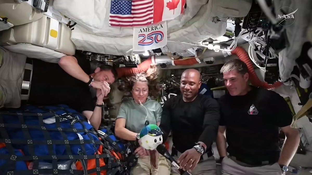 Manuel Mazzanti tweet media