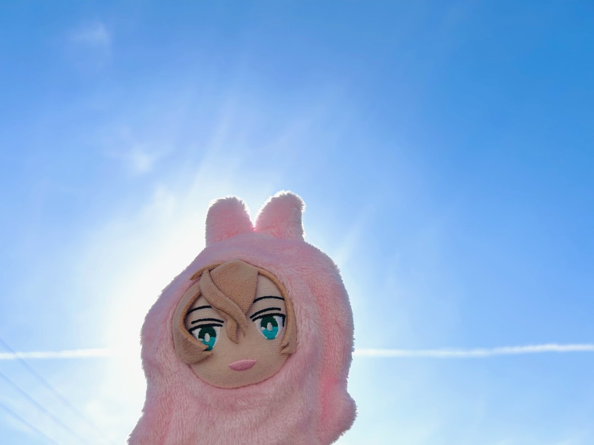 とどり tweet media