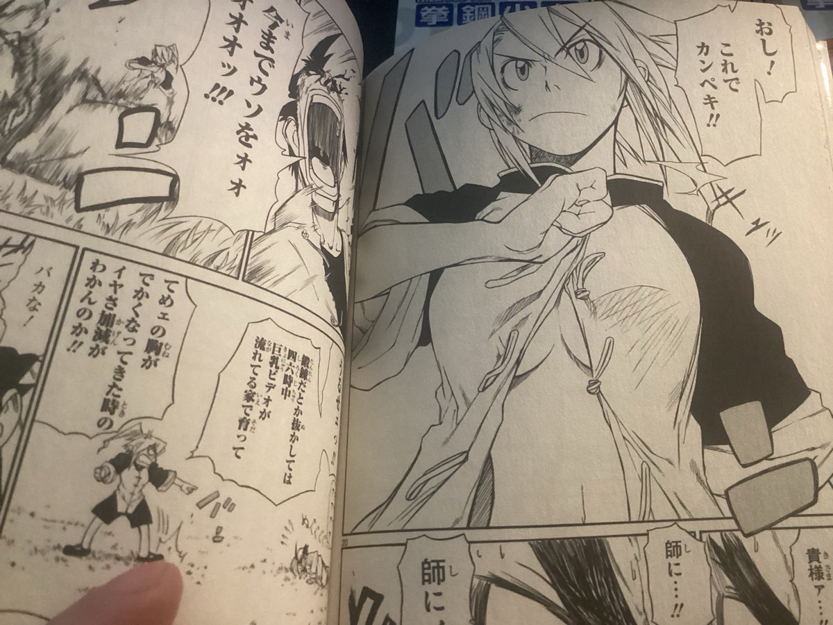 拳鋼少女リク届いて、読んだ!
あーコレコレ!2000年代だけど画風は今も通用する
いい絵ですよ!

俺っ娘の隠れ巨乳って当時で言えばだいぶ希少で覚えてたんですよ。 