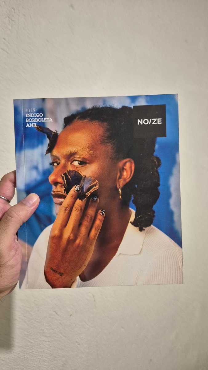 CONSEGUI A VERSÃO NOIZE DO VINIL INDIGO BORBOLETA ANIL MDS QUE LINDOOOOOOOO 🦋