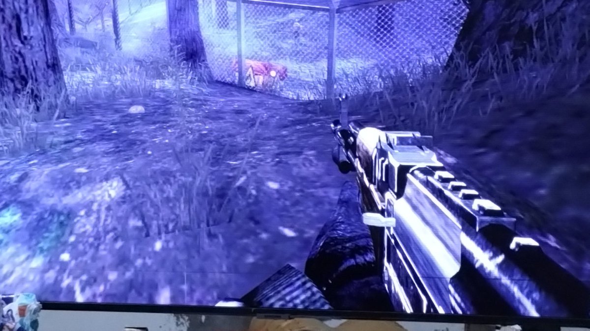 Lucas Di Dodo tweet media