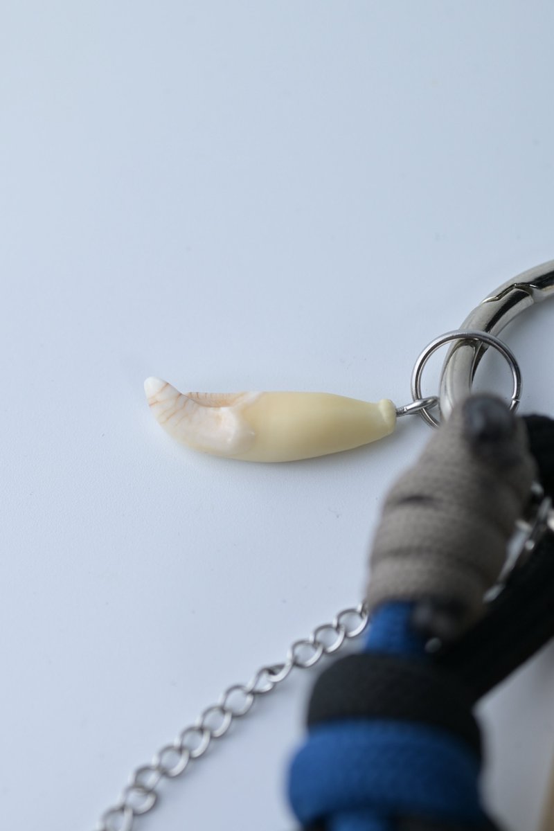 獣骨と俺 BONE&WOOD RESIN /4.11 博物マニア ブース13 tweet media