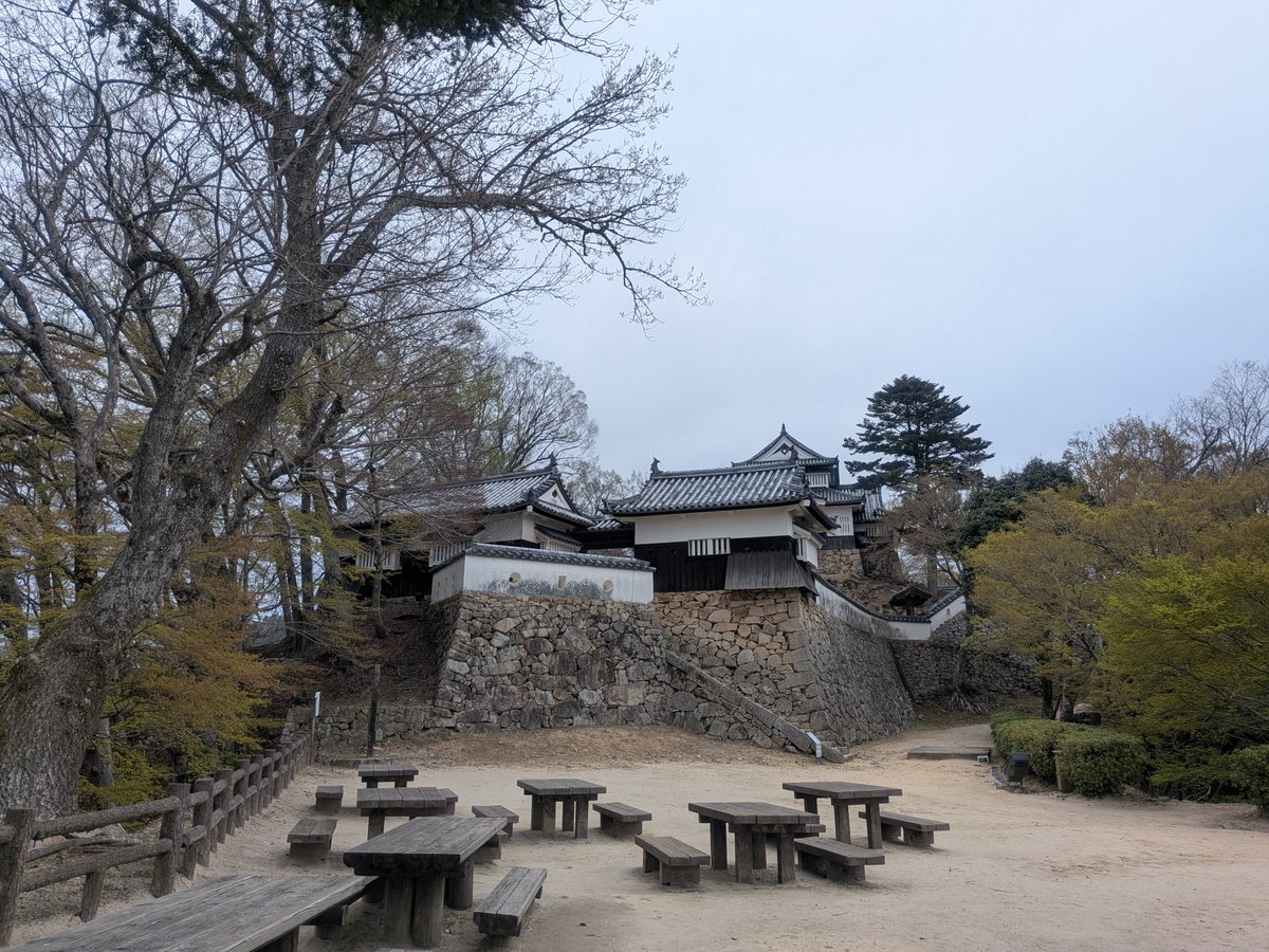 ぴんきー（実はぴょんきー）🐺💛 tweet media