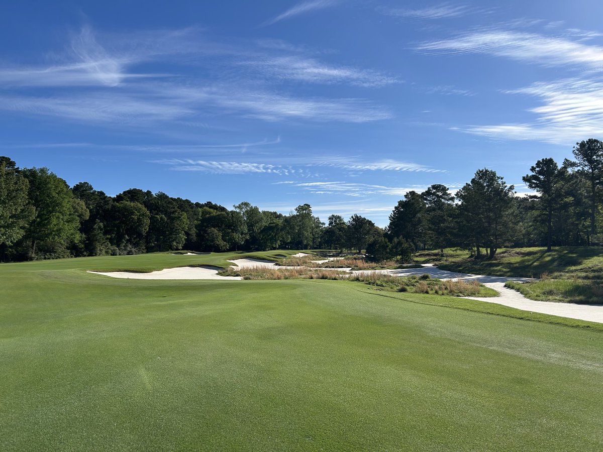 No Divots tweet media