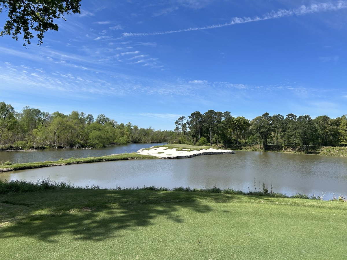 No Divots tweet media