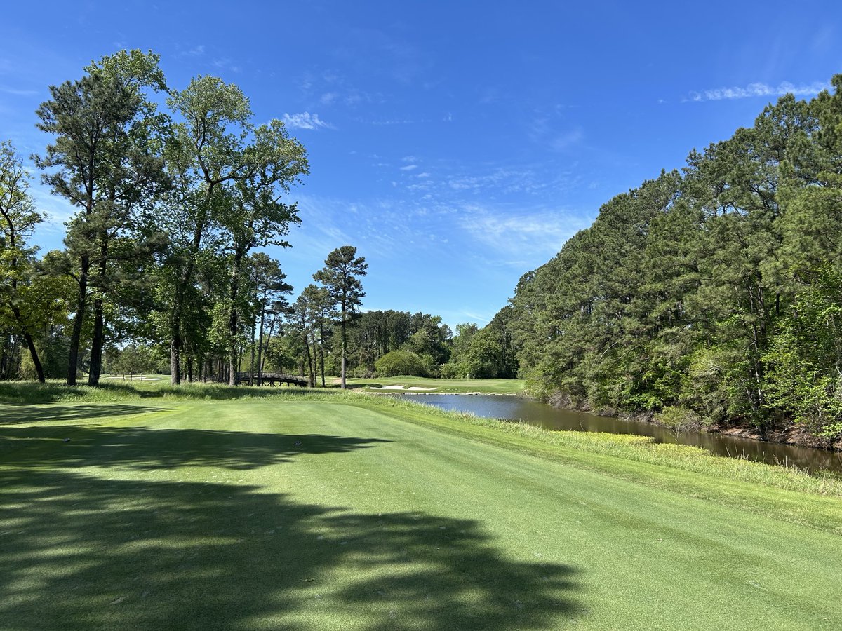 No Divots tweet media