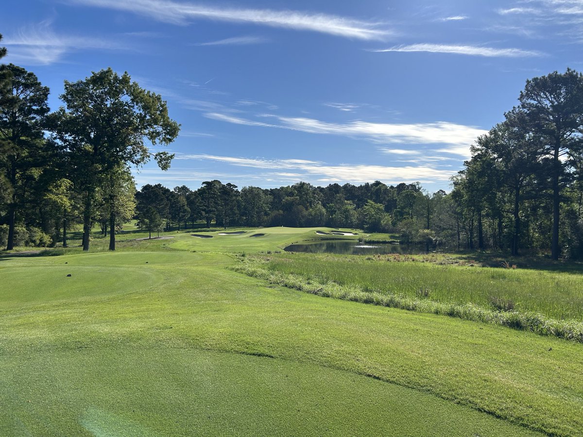 No Divots tweet media