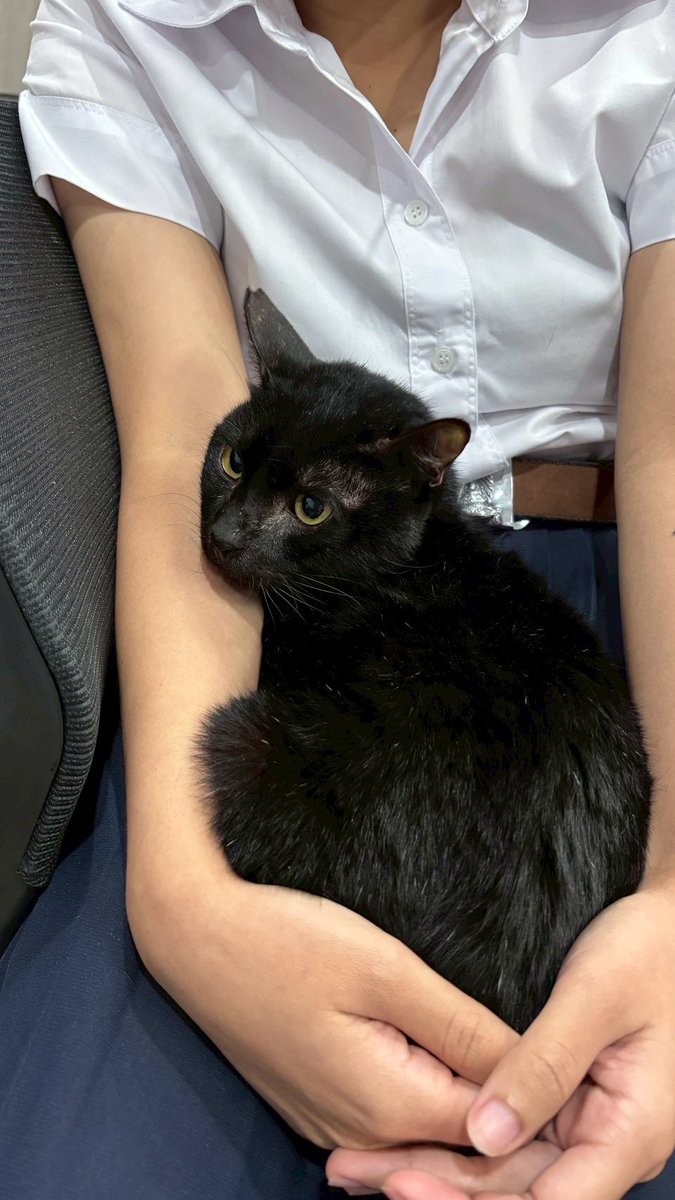JohnJud | CUVET Animal Welfare Club tweet media