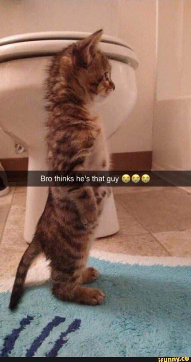 Slayr Updates tweet media