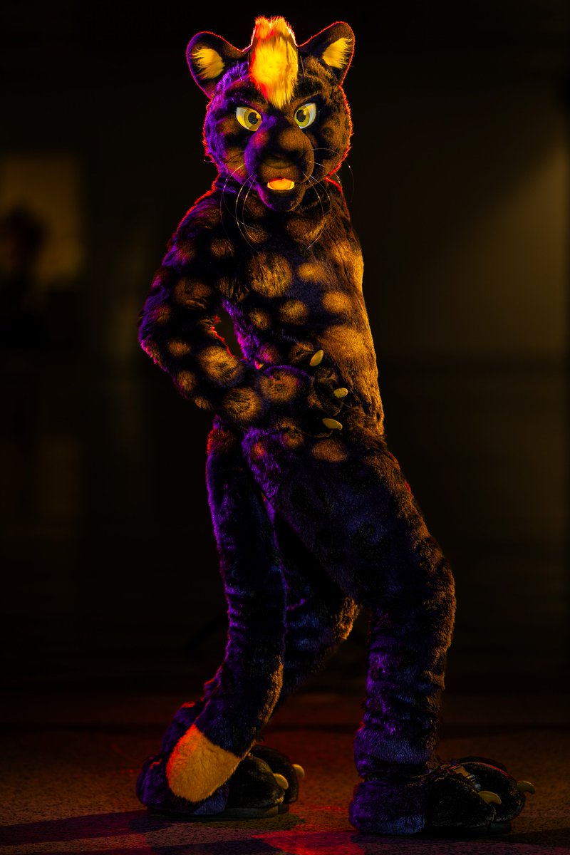 Finn the Panther tweet media