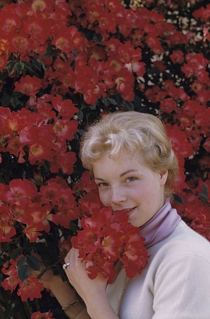 FlicksAnca's tweet photo. Romy Schneider with flowers 🌸🌷🌺 https://t.co/8drD0luCIG