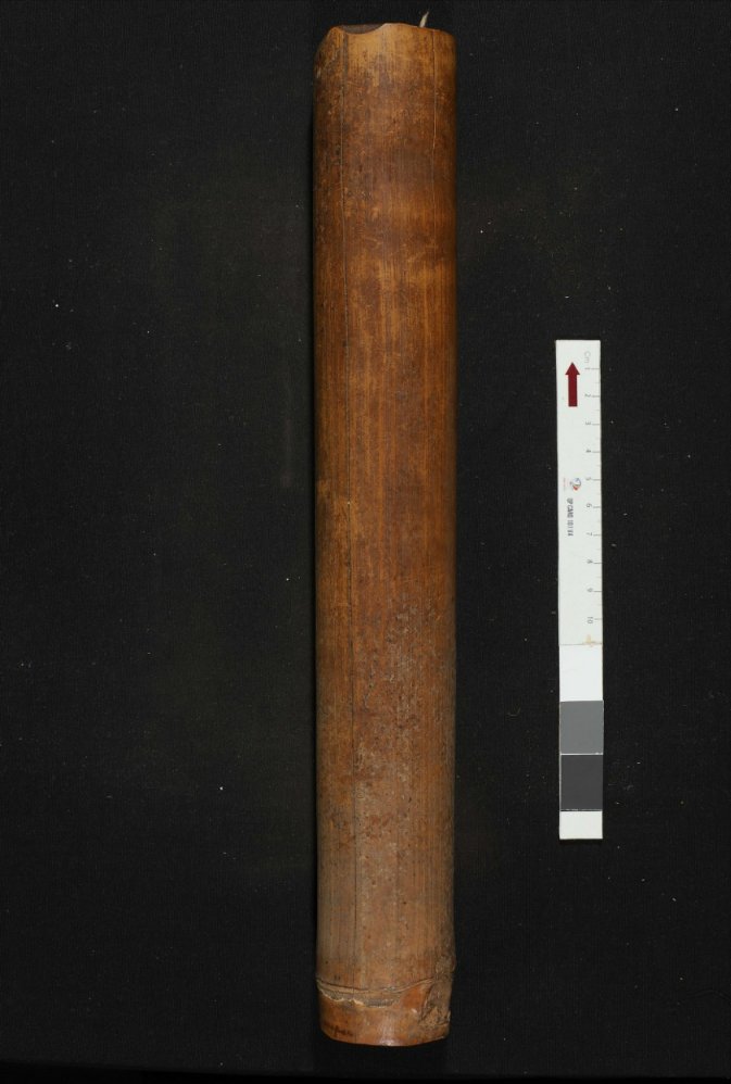 DREAMSEA tweet media