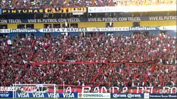 La Original Barra 51 tweet media