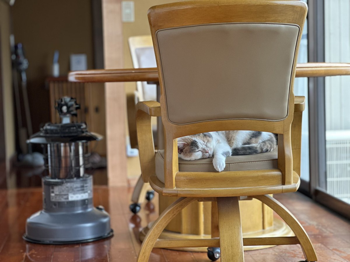 なつめ tweet media