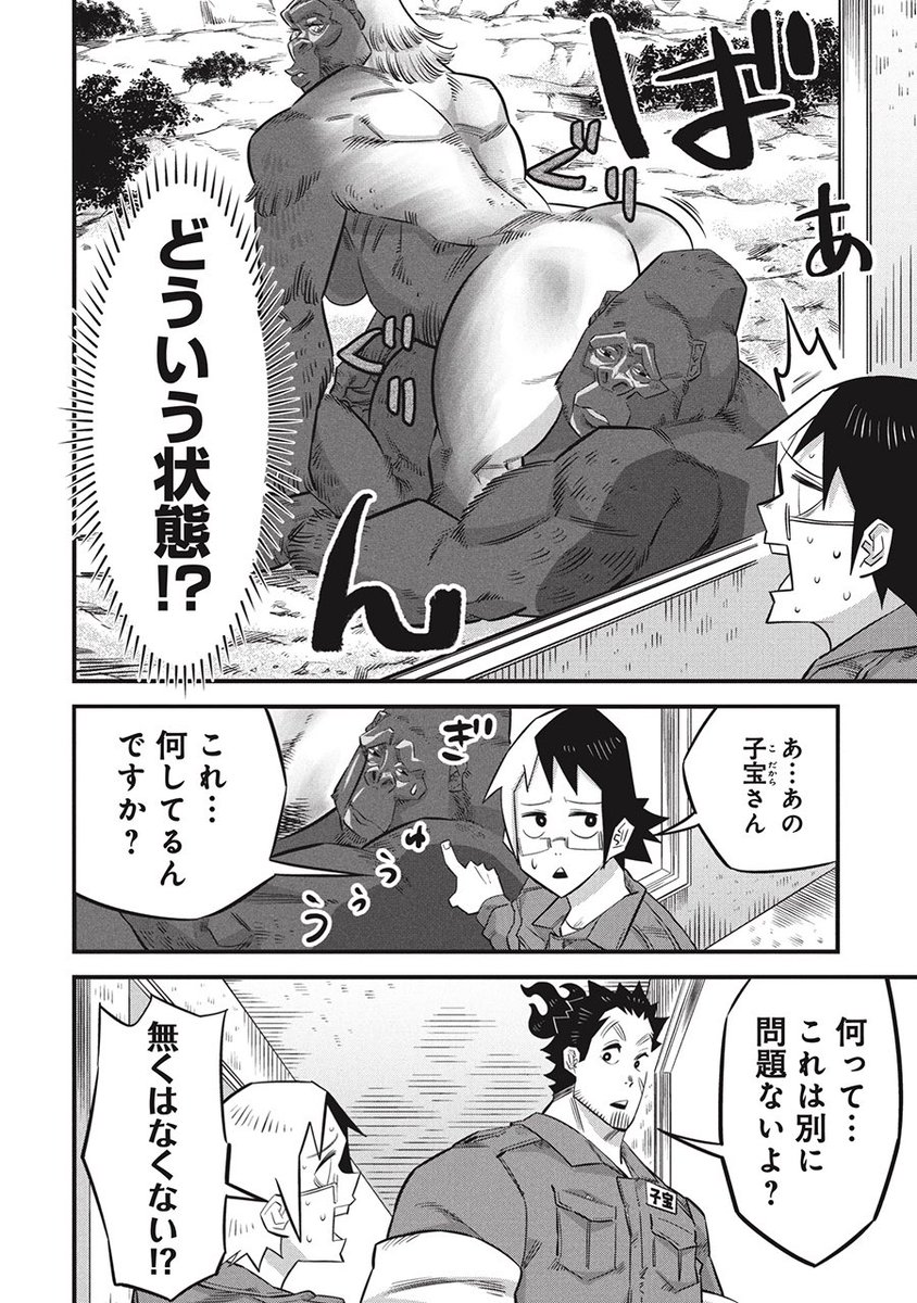マシマアキラ|漫画家|『子宝さんのオトナな動物図鑑』連載中 tweet media