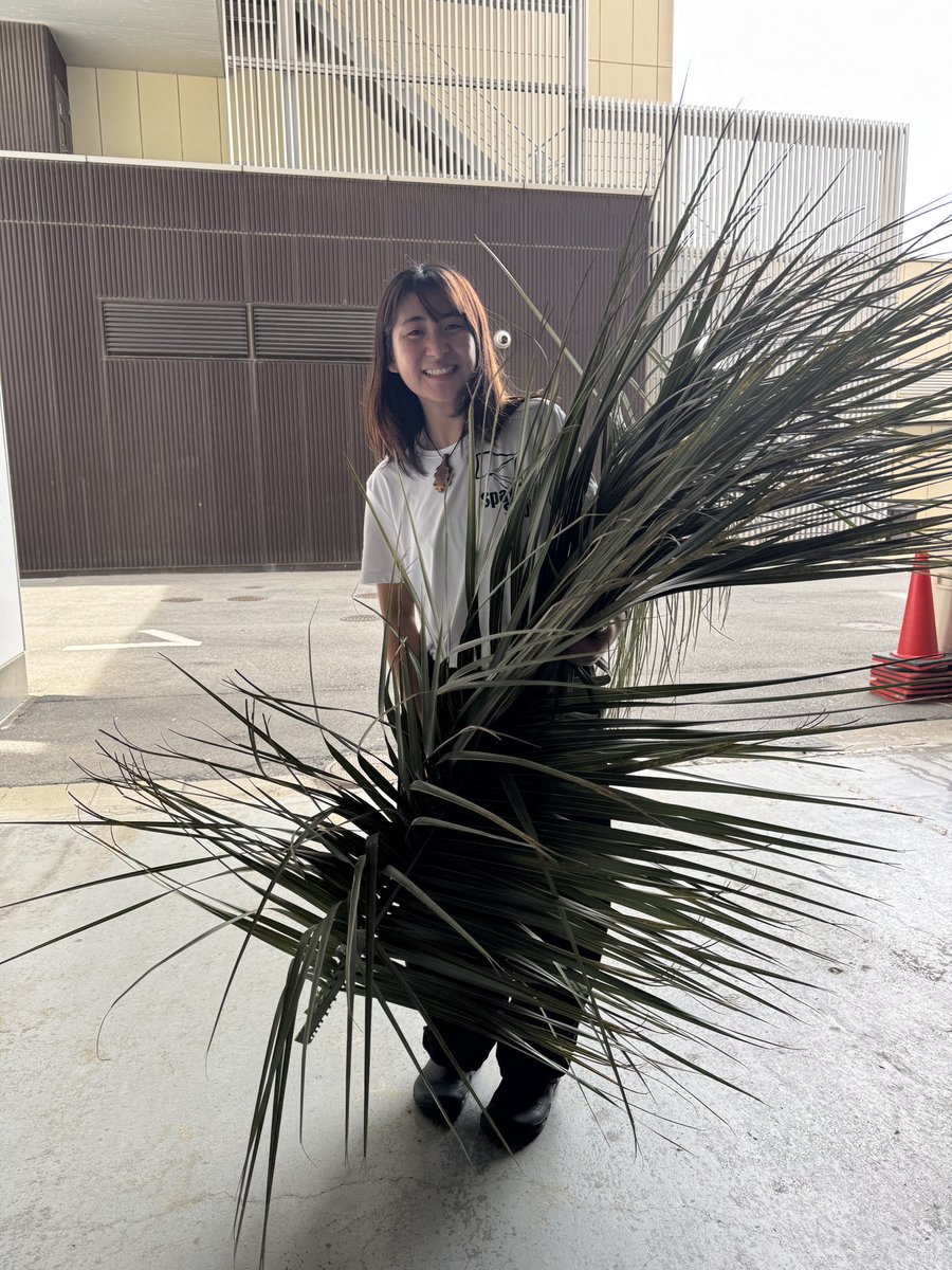 narrgisauna's tweet photo. ヤッシ〜ヤッシ〜🌴 https://t.co/OSnK94F0QR