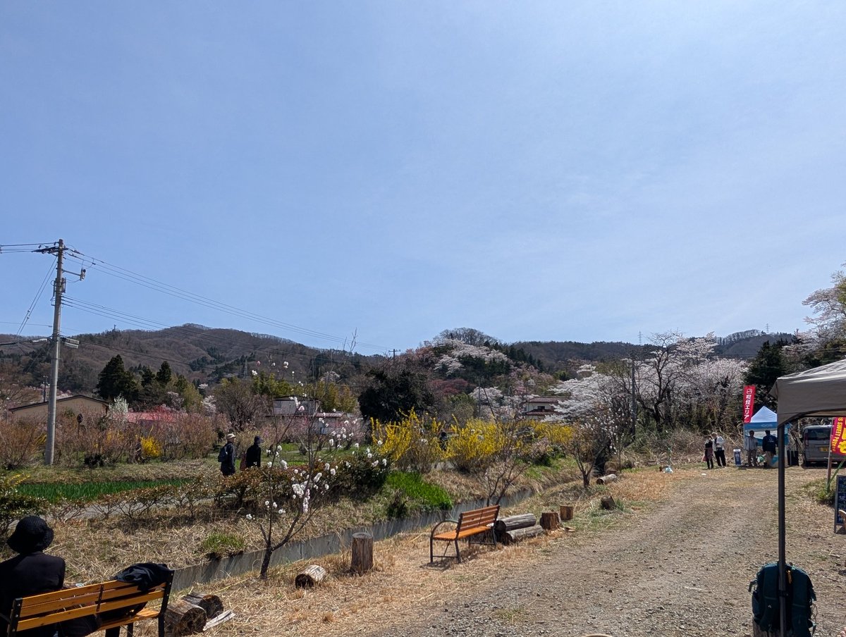 今日の花見山

今日は気温が高く歩くと暑いくらいです。
飲み物が欲しくなったら立ち寄って見て下さい。

＃福島市　＃花見山　＃きぼうの広場　＃きぼうの桜
