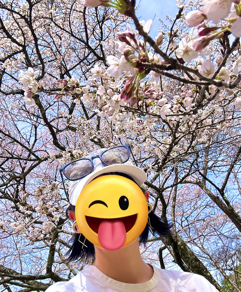 take_2DESU's tweet image. 暑さの耐性がない🥹えらい🥵

昼ラン8㌔

#STEPN
#STEPNGO
#昼ラン
#ランニング

桜がきれいなところまでラン🏃‍♀️‍➡️