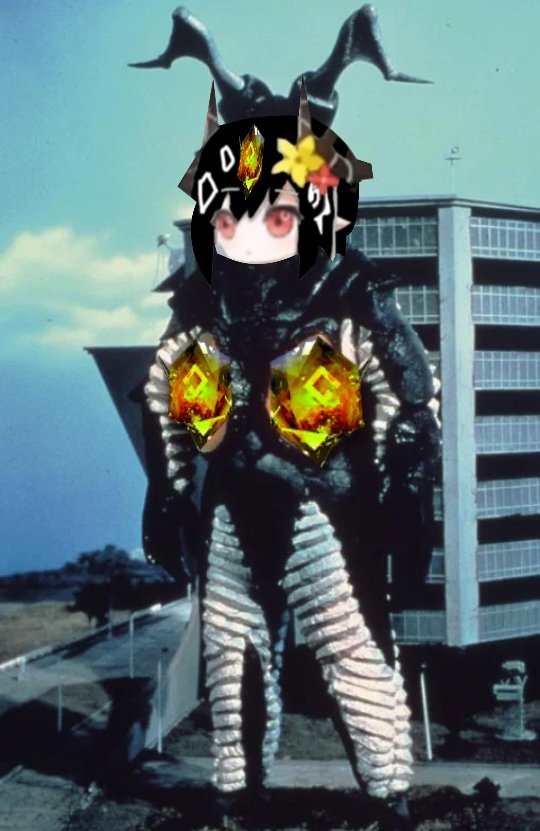 クロガネ店 tweet media