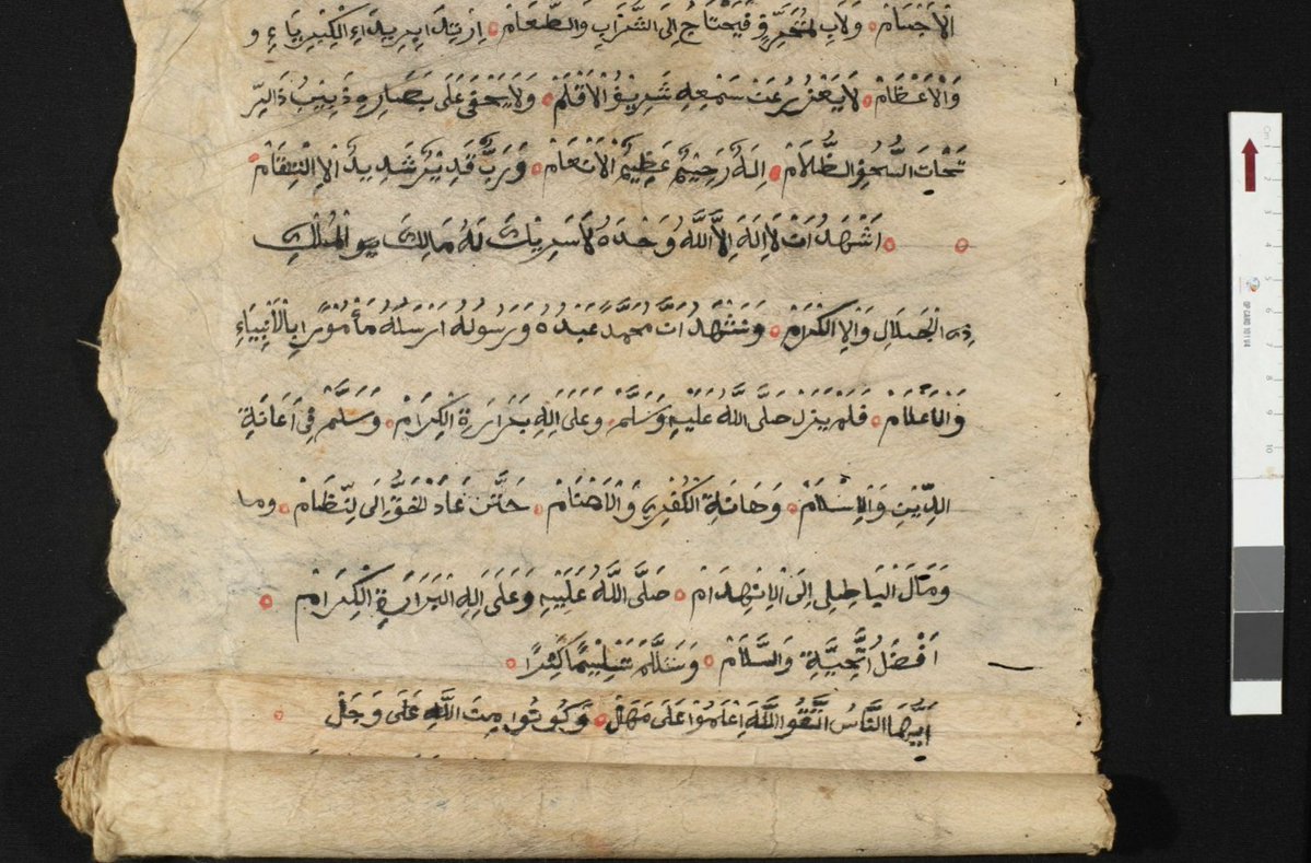 DREAMSEA tweet media