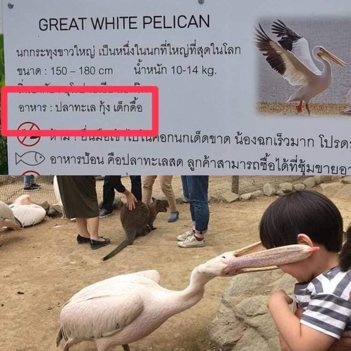 mp ♥ #notragedy tweet media