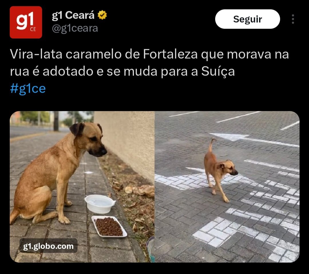 Joaquin Teixeira tweet media