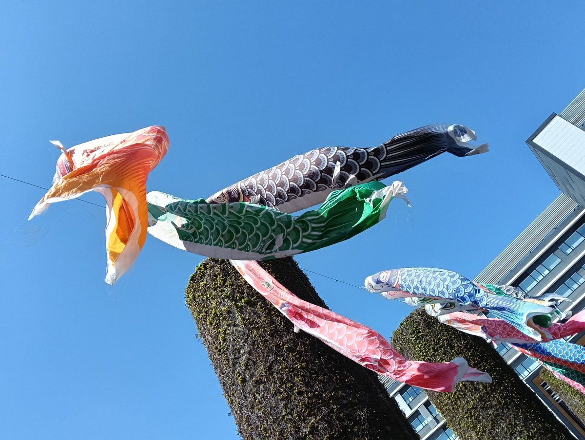 放大えりーちゃん tweet media