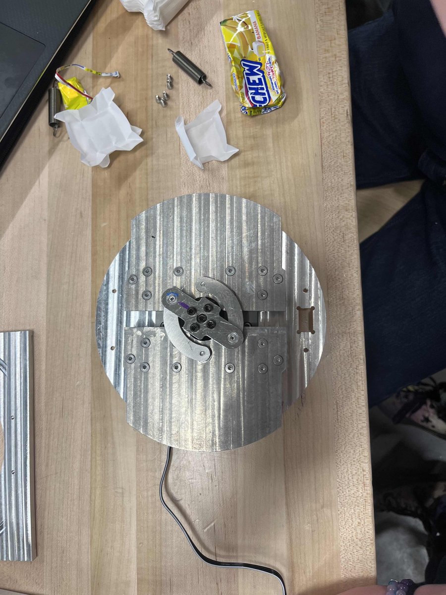 Zoey SB 🌒 tweet media