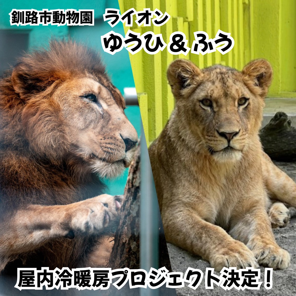 一般社団法人 ZOOTOMOのWA基金 tweet media