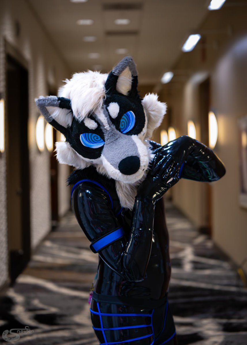 rubberzig's tweet photo. You caught his attention

📸: @snowfenfur.bluesky.social https://t.co/2SUuMgicNQ