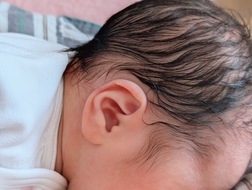 たぬき☻💛2sai+0m tweet media