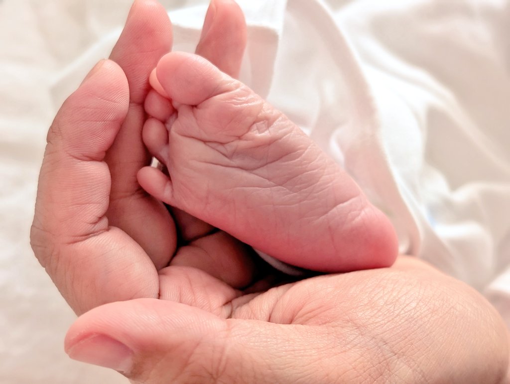 たぬき☻💛2sai+0m tweet media