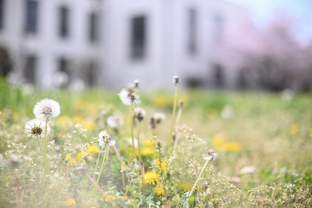 むったん tweet media