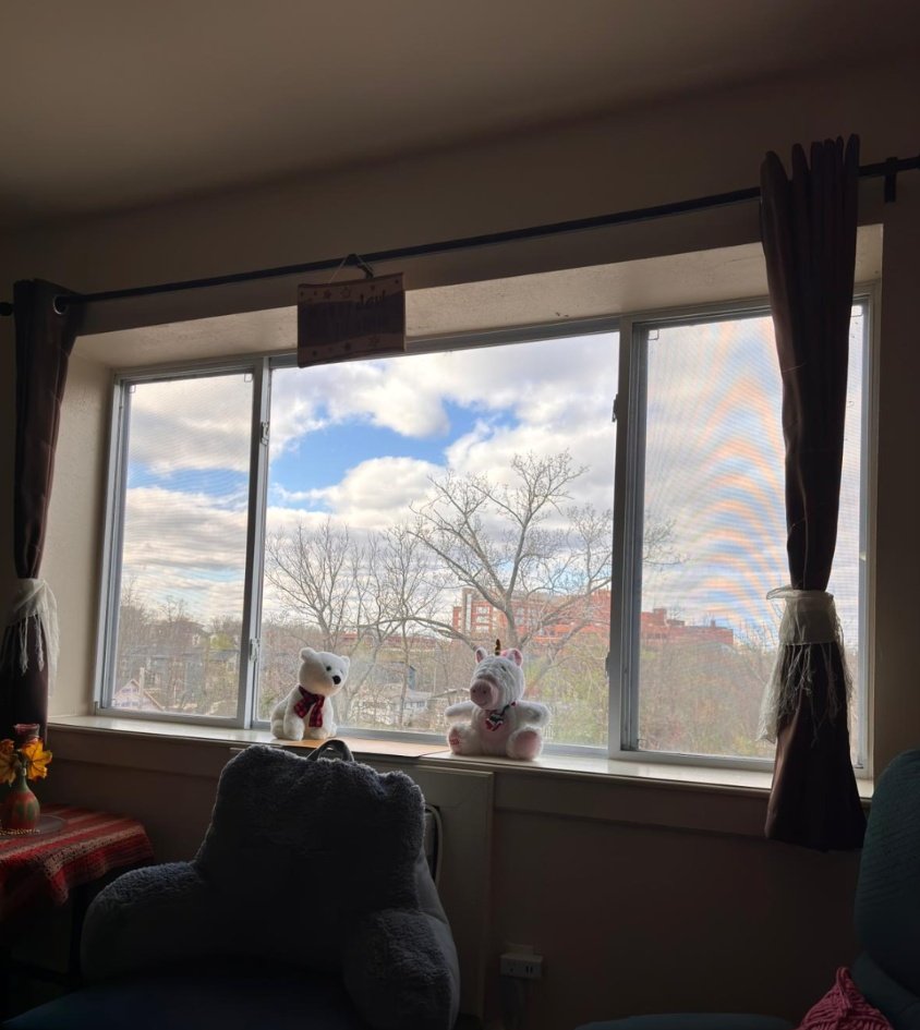 @UmeiraB tweet media