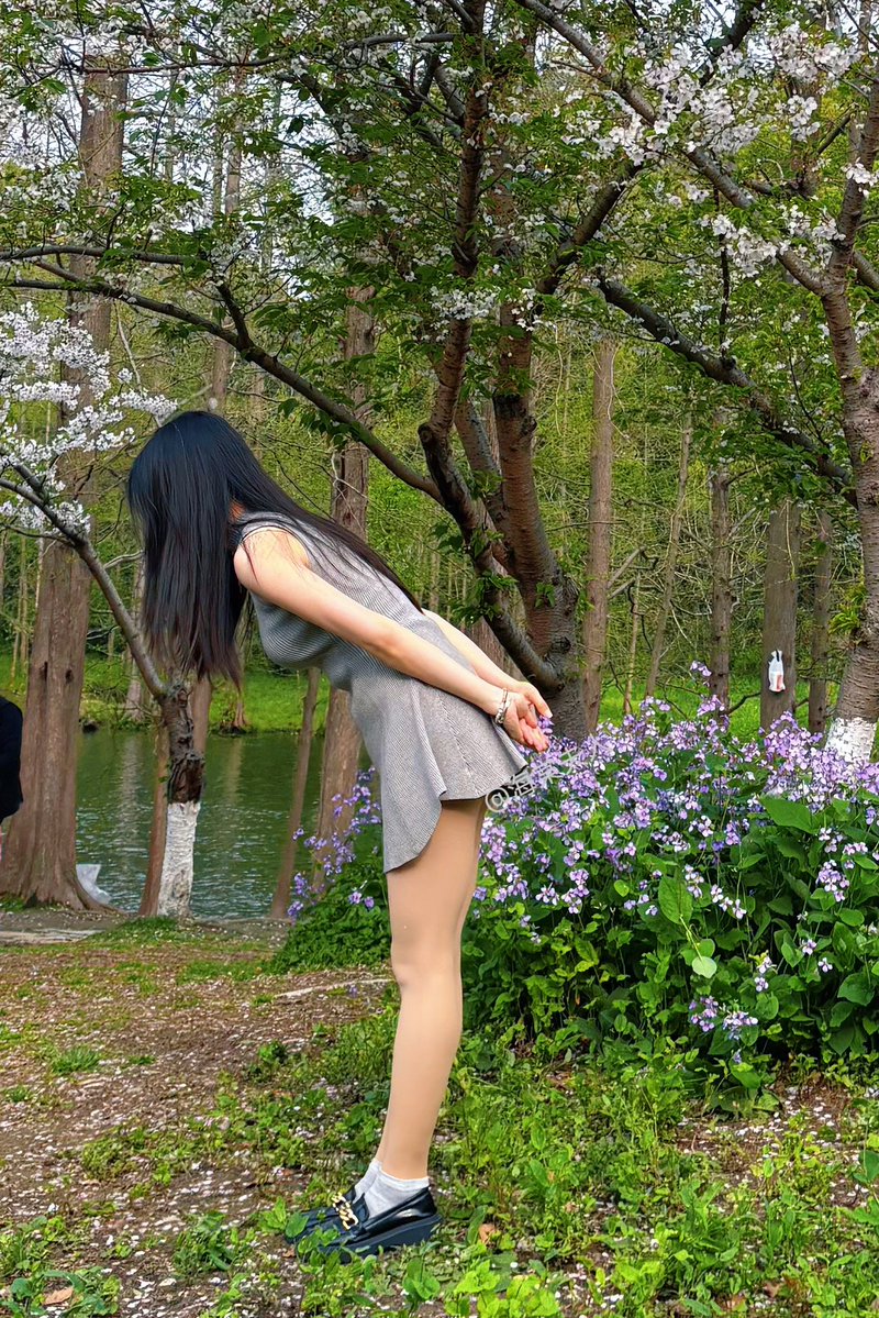 海棠夫人 tweet media