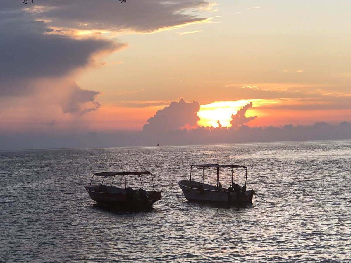 Israel Saiz tweet media